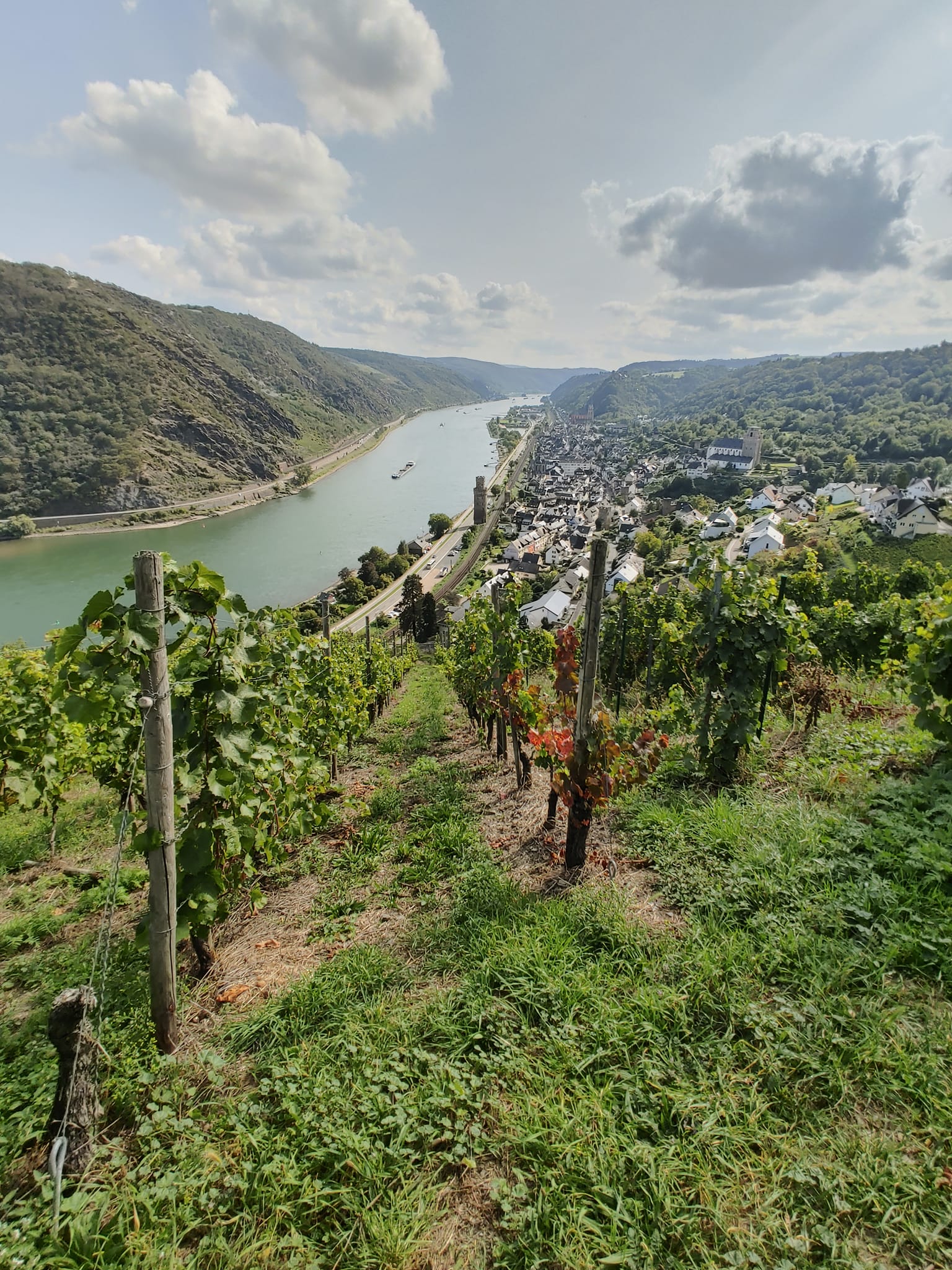 Riesling country: terraced slopes above the Mosel, a thirty-minute drive from the flight line.
